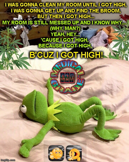 Kermit exhausted Imgflip