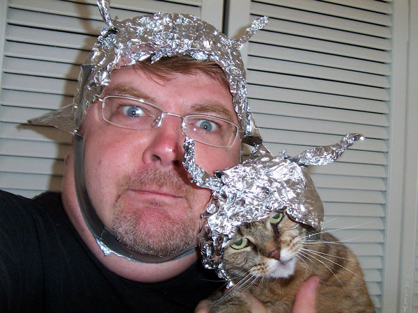 tin foil cat Blank Template - Imgflip