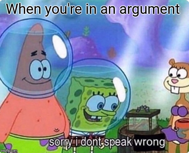 Sorry I don't speak wrong Imgflip