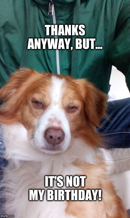 Not my birthday Imgflip