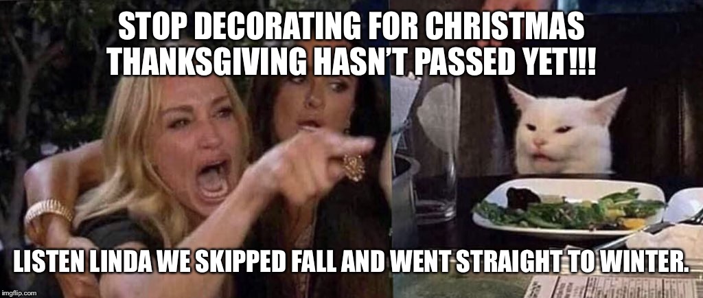 woman yelling at cat Imgflip