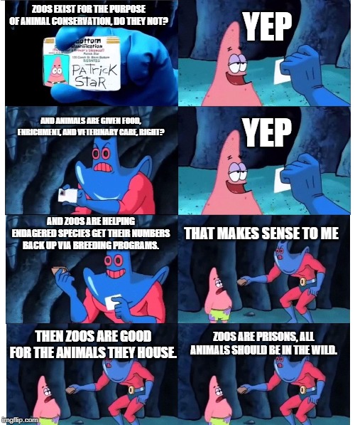 patrick not my wallet Imgflip
