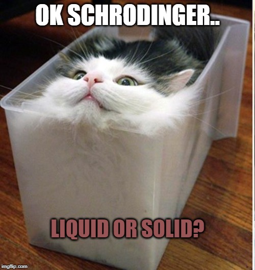 schrodinger's cat Imgflip