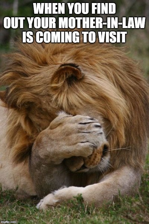 Image tagged in motherinlaw jokes Imgflip