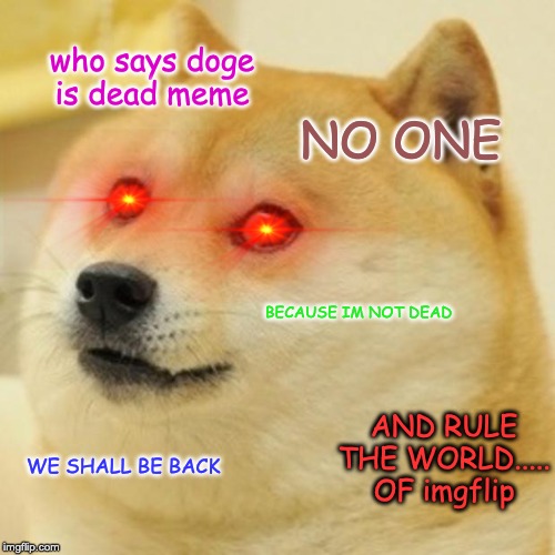 Doges are evolving and want revenge for calling them a dead meme Imgflip
