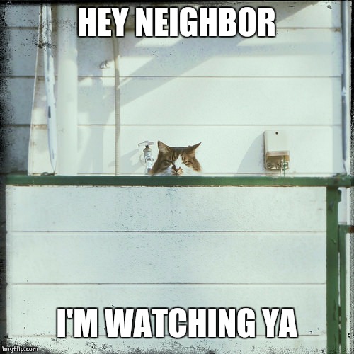 NOSY NEIGHBOR Imgflip