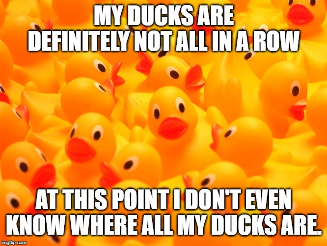 Image tagged in rubber ducks Imgflip
