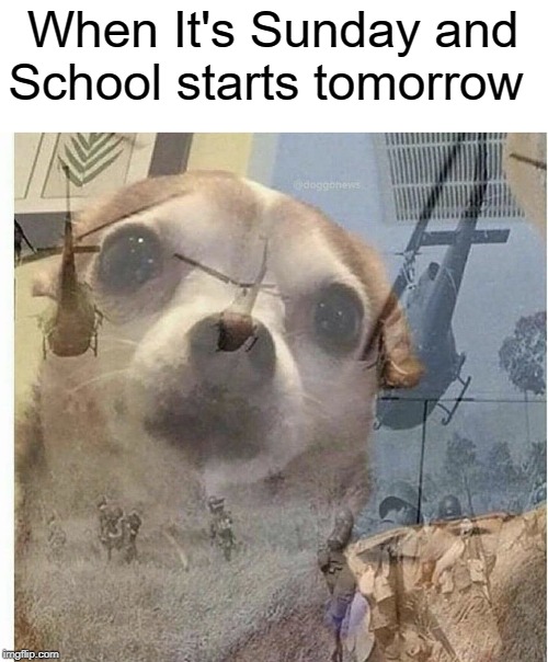 15+ Funny Sunday School Memes Factory Memes