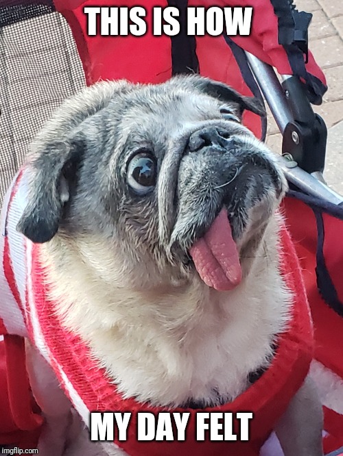 anxiety Memes & GIFs Imgflip