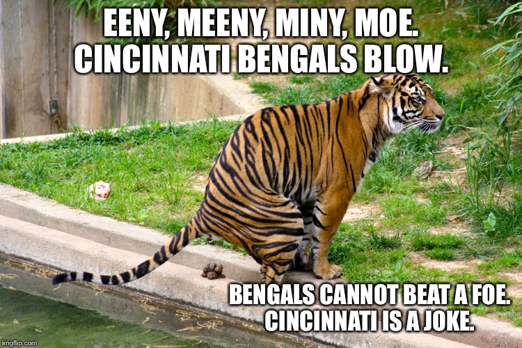 Bengals blow Imgflip