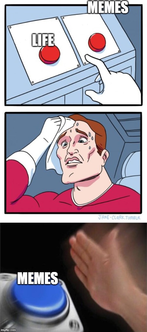 Image tagged in memes,two buttons,blank nut button Imgflip
