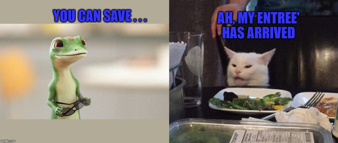 geico gecko Memes & GIFs Imgflip