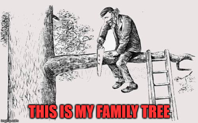 Image tagged in family tree Imgflip