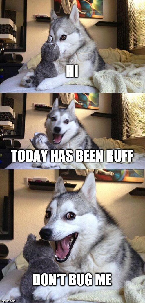 Bad Pun Dog Meme Imgflip