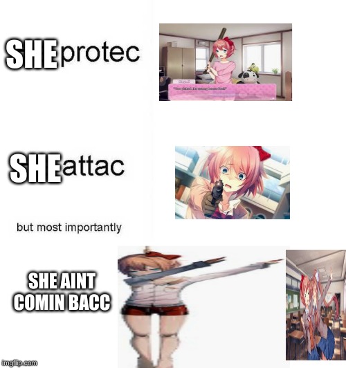 He protec he attac but most importantly Imgflip