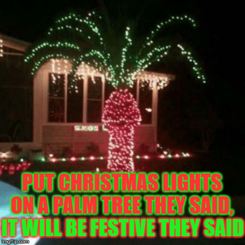 Palm Tree Christmas Lights Imgflip