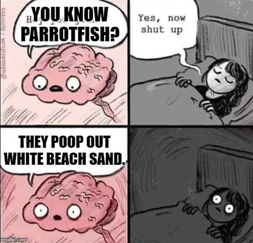 waking up brain Imgflip