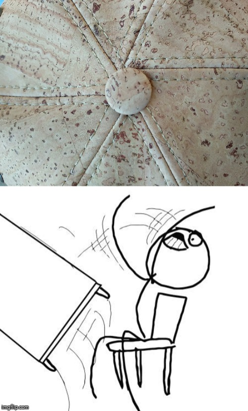 Image tagged in memes,table flip guy Imgflip