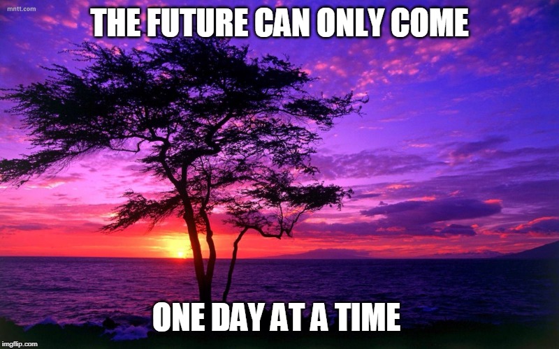 Sunrise purple beauty Imgflip