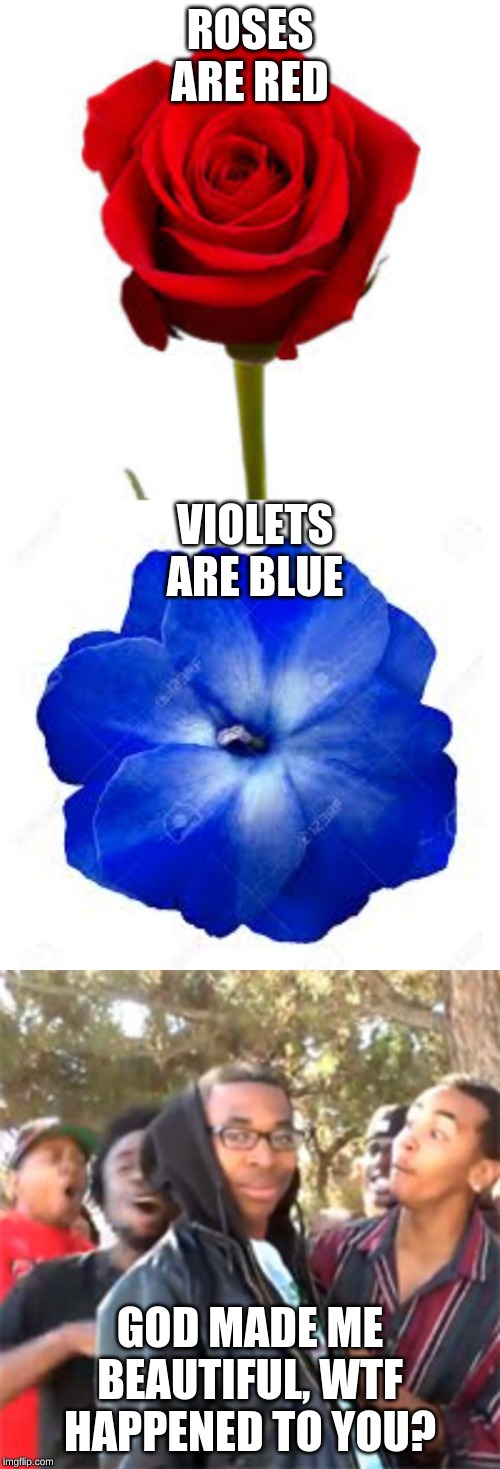 Good Roses Are Red Roasts Ah on what little things does happiness depend