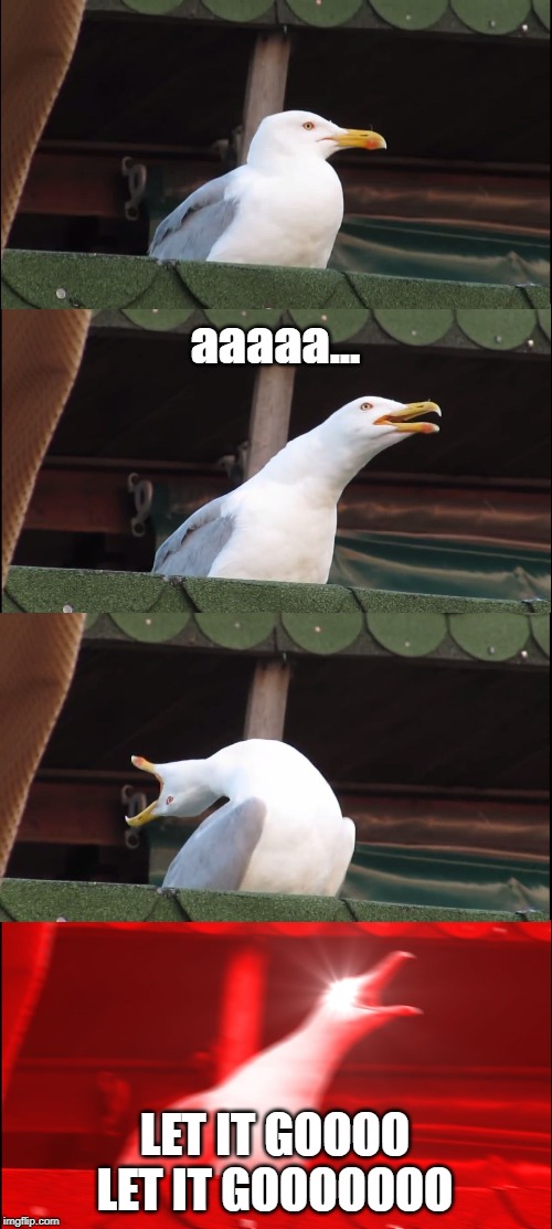 Inhaling Seagull Meme Imgflip