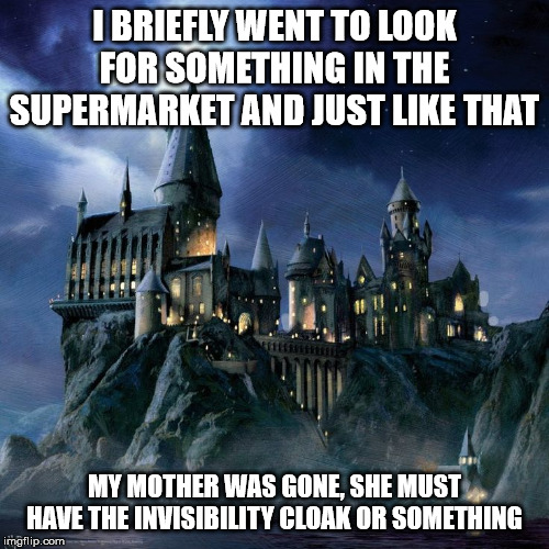 Image tagged in hogwarts Imgflip