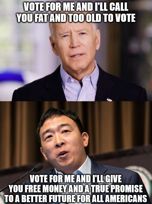 Yang Gang 2020, Baby!!! Imgflip