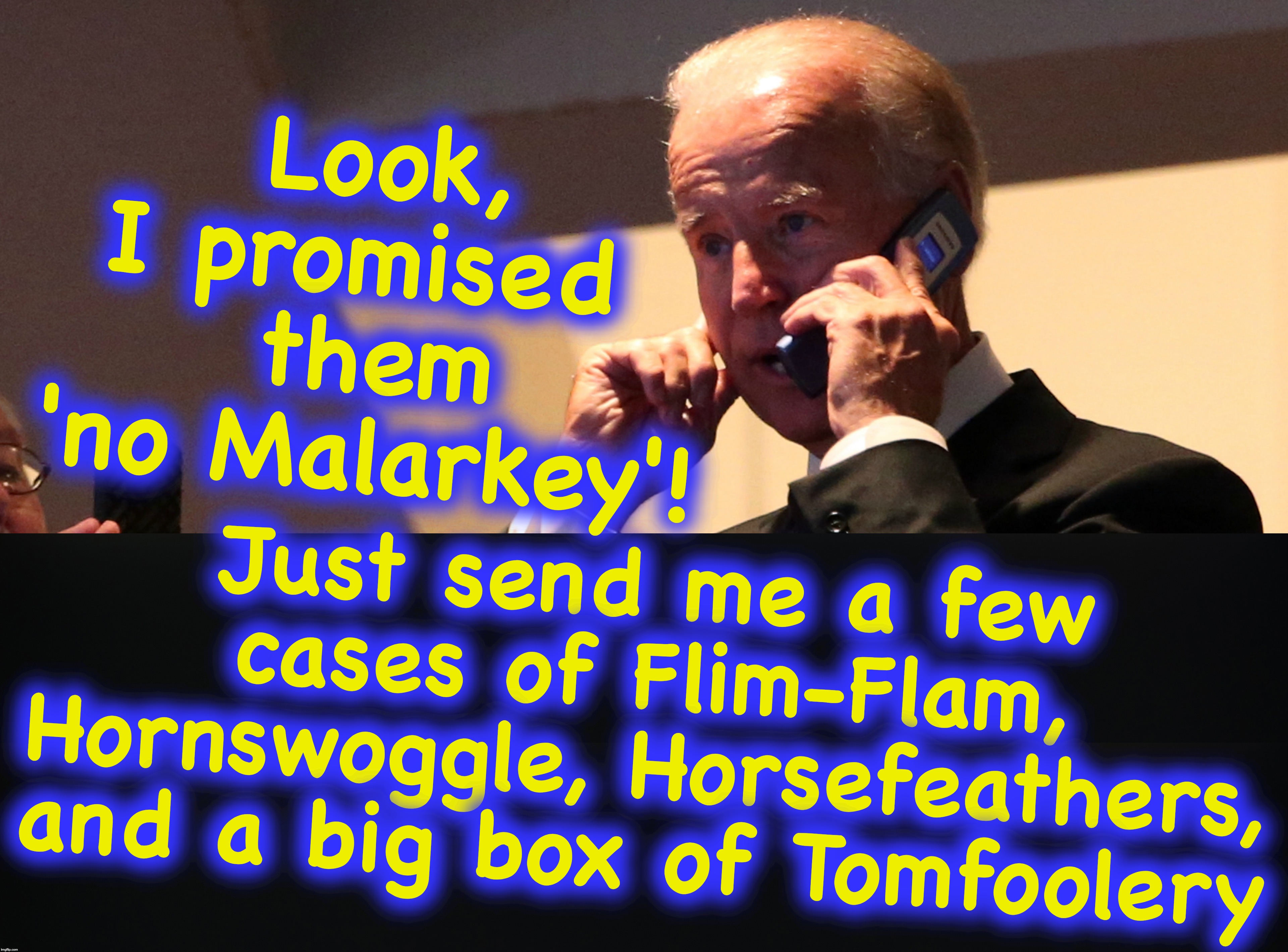 Image tagged in joe biden Imgflip