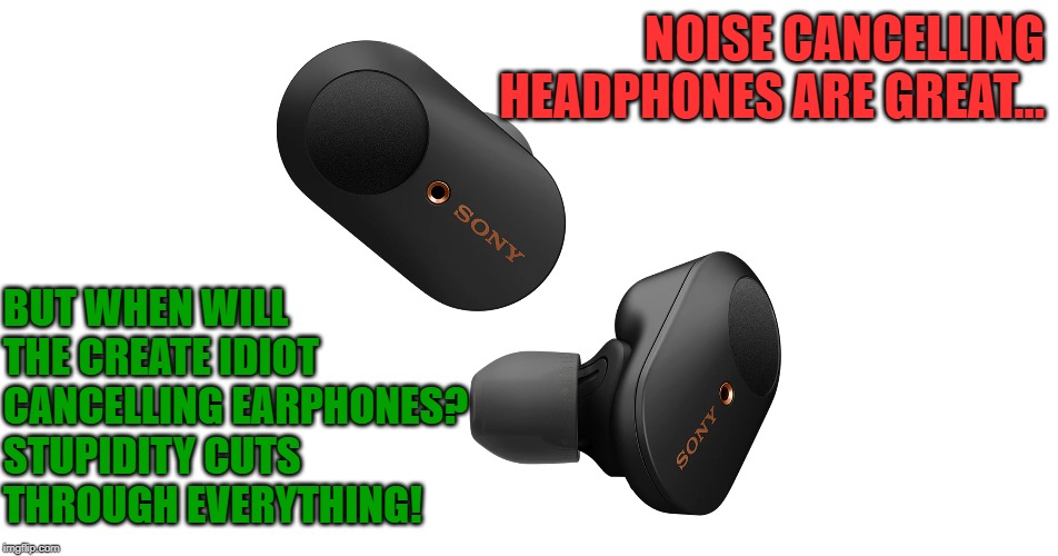 Noise Cancelling Earphones Imgflip