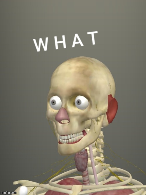 What Skeleton mk.1 Imgflip