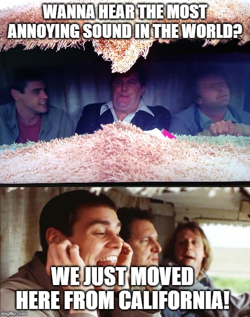 It's only funny because it's true Imgflip