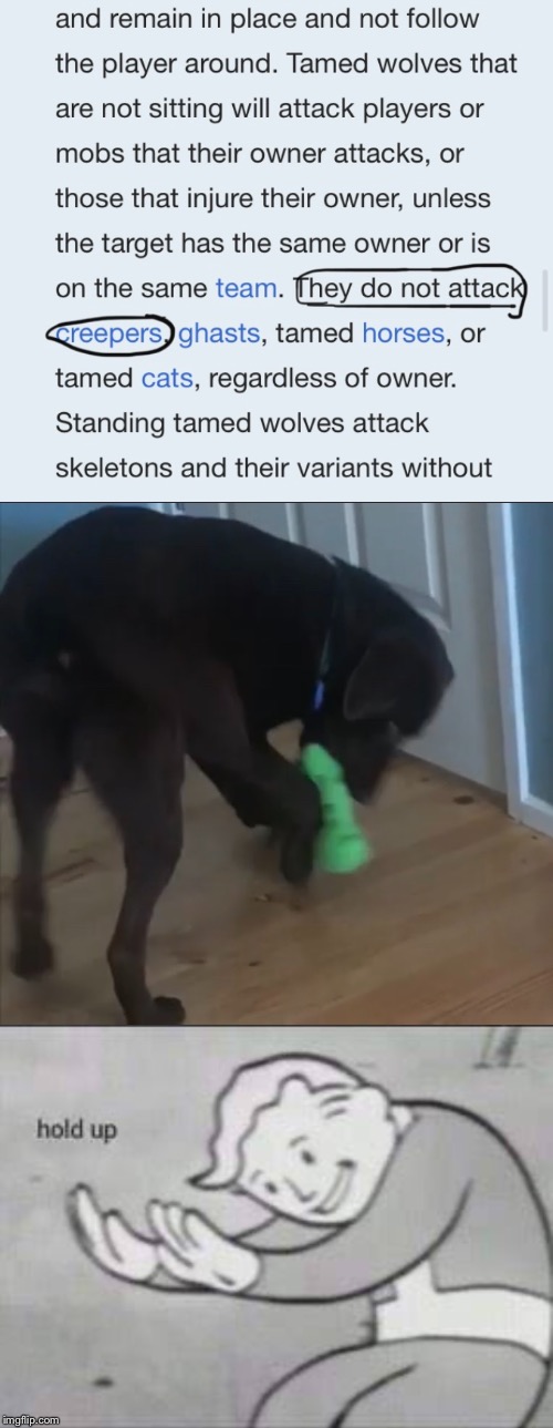 Wait. That&rsquo;s illegal. - Imgflip