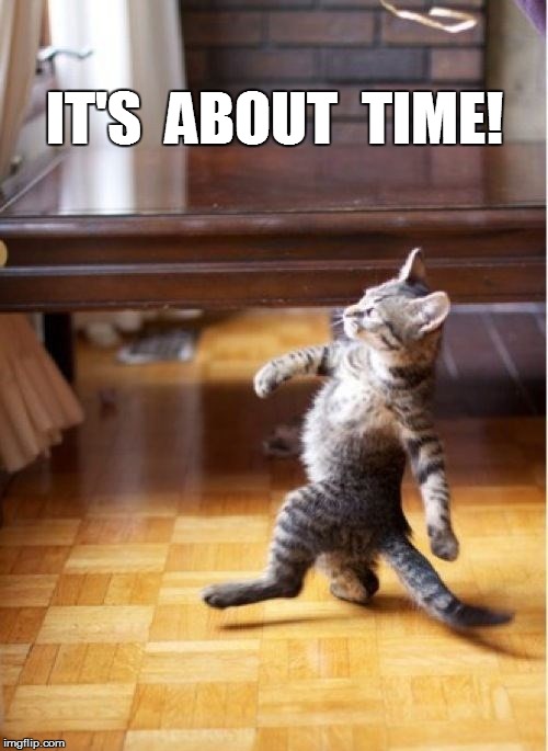 Image tagged in time magazine person of the year,woman yelling at cat