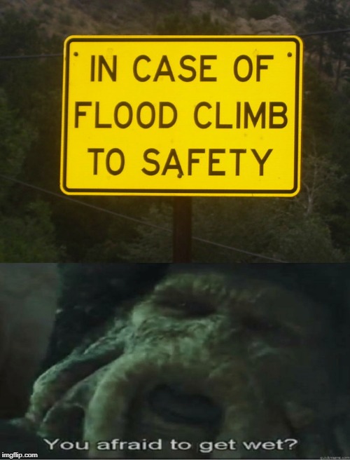 HA! Imgflip
