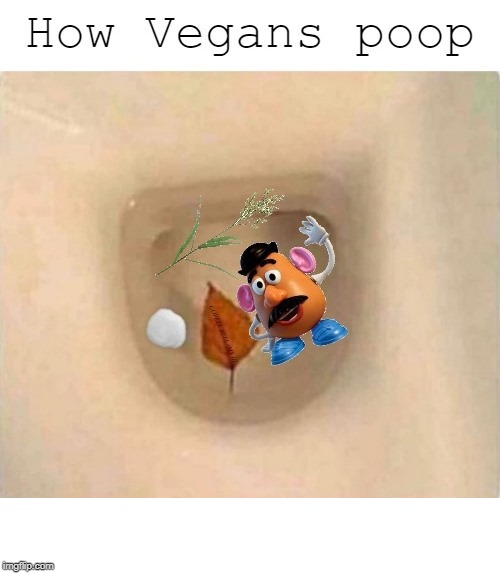 Vegan Poop Imgflip