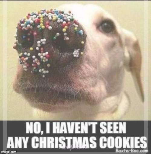 cookies Memes & GIFs Imgflip