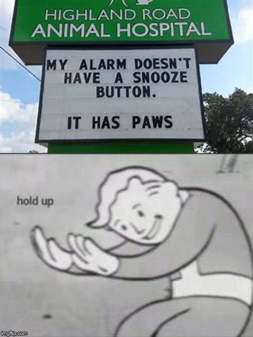 Image tagged in fallout hold up Imgflip