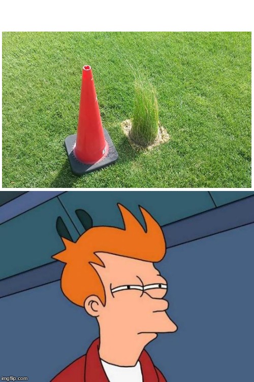 Futurama Fry Meme Imgflip