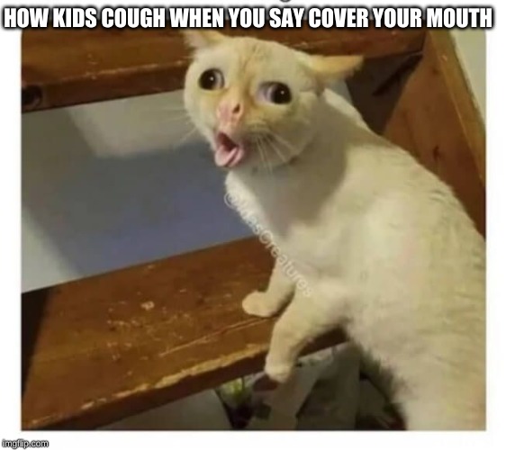 Coughing Cat Imgflip