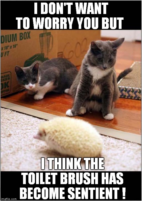 Sentient Toilet Brush ! Imgflip