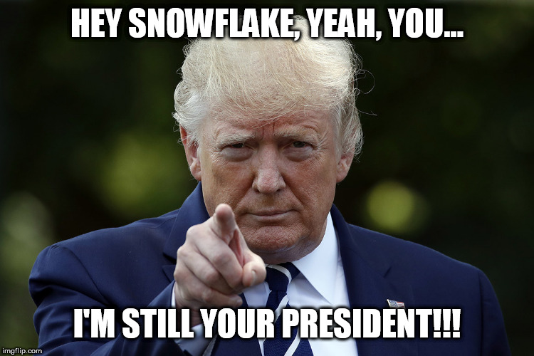 Hey snowflake Imgflip