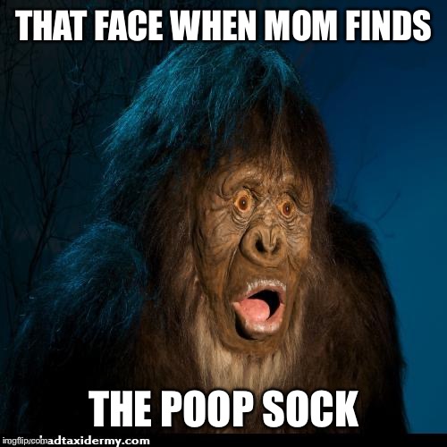 Image tagged in memes Imgflip