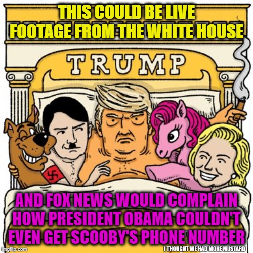 Trump Bed Imgflip