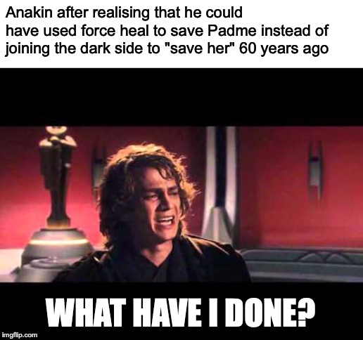 Anakin What have I done? Memes Imgflip