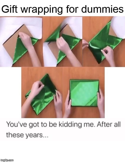 Gift Wrapping For Dummies Imgflip
