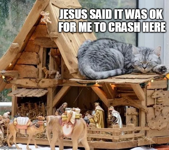 Image tagged in cats,christmas,nativity Imgflip