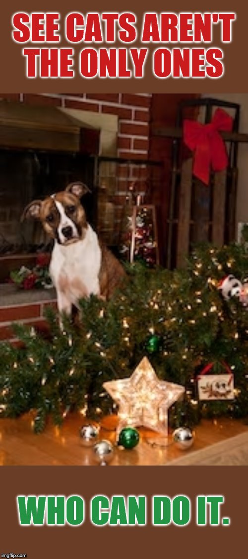 Yes I Knocked Down The Christmas Tree Imgflip