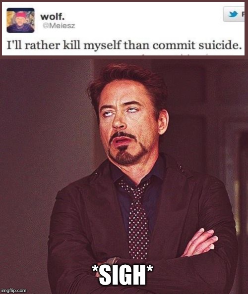 Robert Downey Jr Annoyed Memes Imgflip