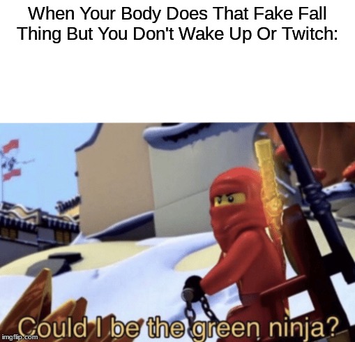 Could I Be The Green Ninja? Imgflip