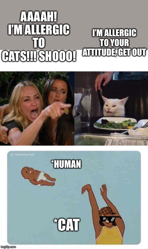 Image tagged in mom throwing baby,memes,woman yelling at cat Imgflip